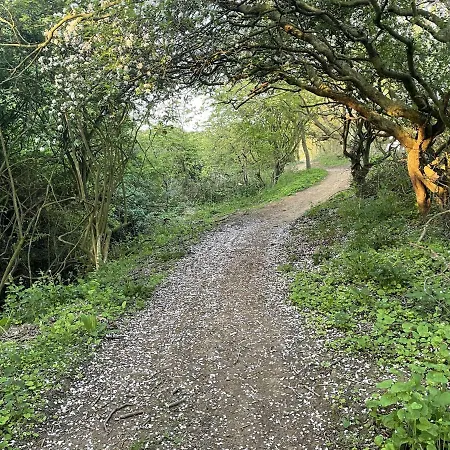 Sandy Feet Retreat - Part Of The The Bay Village With Pool, Gym And Direct Access, Pub, Restaurant, Tennis And Meadows Walks 別荘 ファイリー