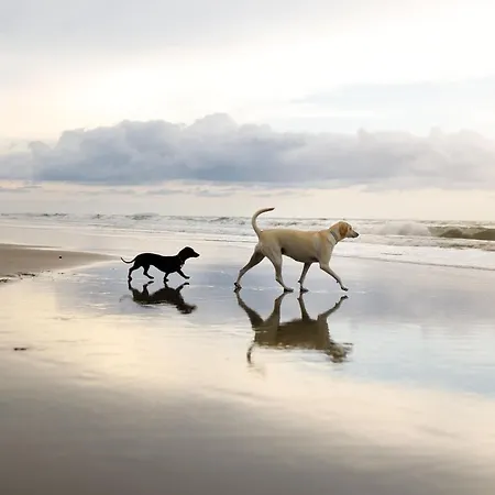 Sandy Feet Retreat - Part Of The The Bay Village With Pool, Gym And Direct Access, Pub, Restaurant, Tennis And Meadows Walks