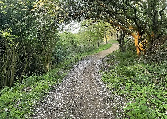 Sandy Feet Retreat - Part Of The The Bay Village With Pool, Gym And Direct Access, Pub, Restaurant, Tennis And Meadows Walks Hébergement de vacances Filey
