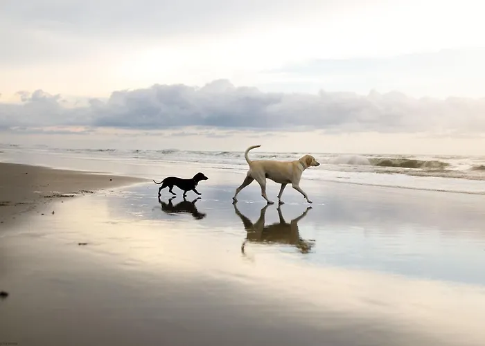 Sandy Feet Retreat - Part Of The The Bay Village With Pool, Gym And Direct Access, Pub, Restaurant, Tennis And Meadows Walks